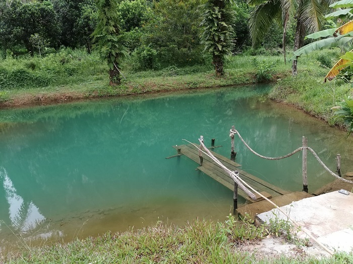 Blue-River-Krabi