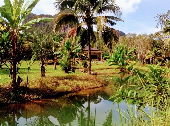 Experience-Serenity-Rent-a-House-by-Krabis-Breathtaking-Blue-River-in-Thailand