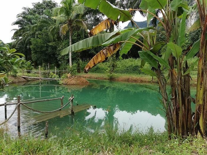 Krabi-Blue-River