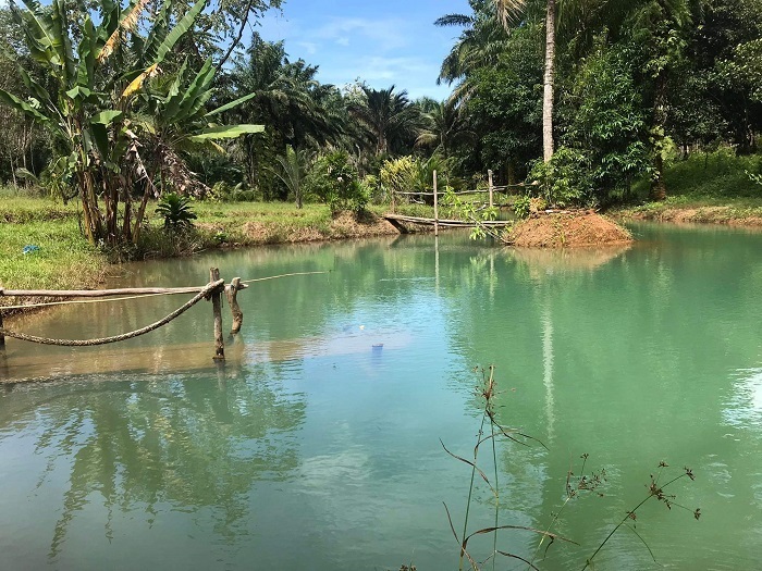 Krabis-Enchanting-Blue-River-Your-Perfect-Vacation-Rental-Awaits