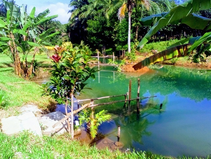 Krabis-Enchanting-Blue-River-Your-Perfect-Vacation-Rental-Awaits