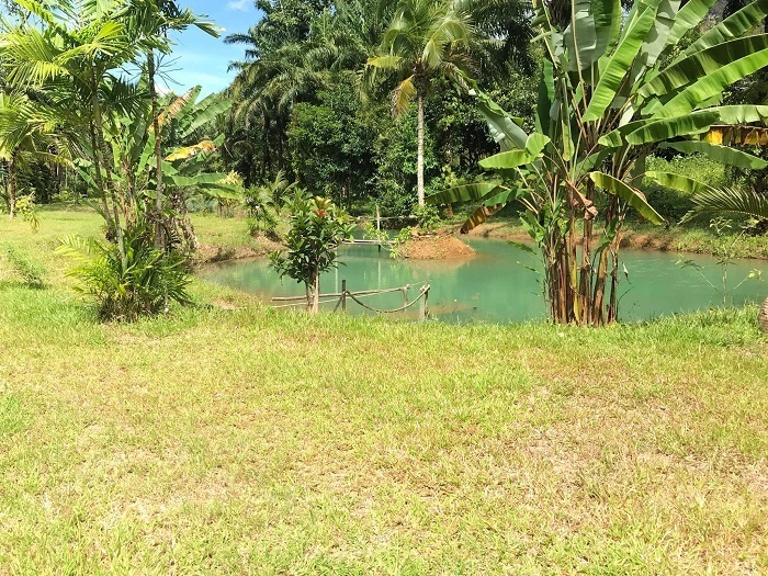 Rent-a-House-in-Krabis-Riverfront-Heaven-Blue-Waters-and-Beyond