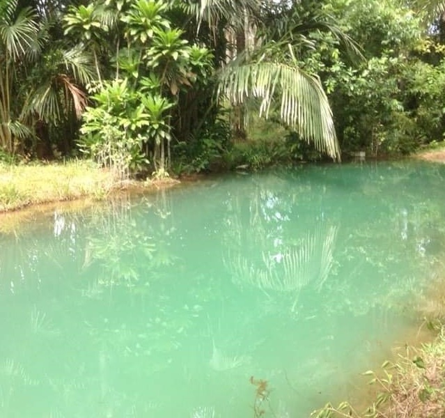 Your-Riverside-Retreat-Rent-a-House-by-Krabis-Natural-Blue-River