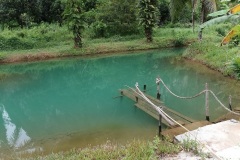 Blue-River-Krabi