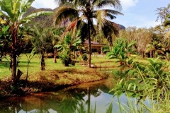 Experience-Serenity-Rent-a-House-by-Krabis-Breathtaking-Blue-River-in-Thailand
