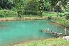 High-tide-Blue-River-in-Nong-Thale