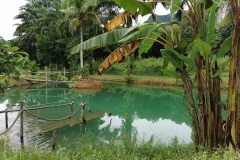 Krabi-Blue-River