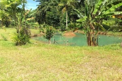 Rent-a-House-in-Krabis-Riverfront-Heaven-Blue-Waters-and-Beyond
