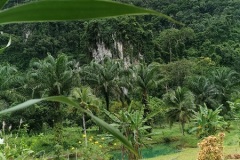 Terasse-with-river-view-at-Baan-Blue-River-Krabi-Nong-Thale