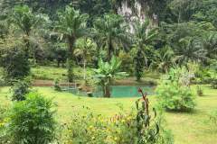 Villa-For-Rent-Near-RIver-located-in-Krabi-Thailand