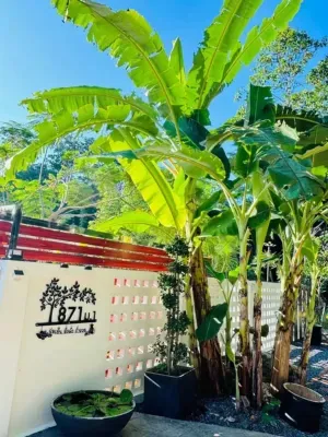 d91fece9-8fae-4b0e-83f9-c540549c251e