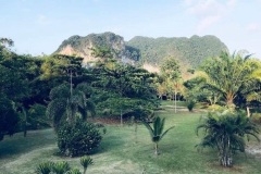 Garden-of-Villa-Paraiso-in-Krabi-Nong-Thale