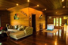 Relaxing-lounge-area-with-a-stylish-sofa-in-the-living-room