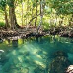 khao bencha waterfall krabi activities