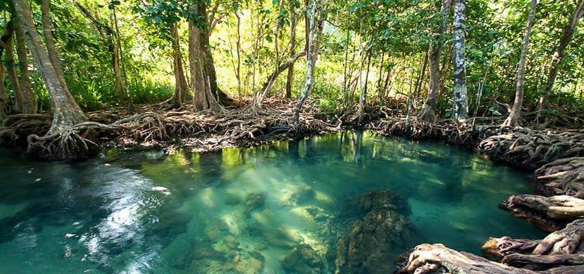 khao bencha waterfall krabi activities