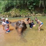 Krabi Elephant Sanctuary